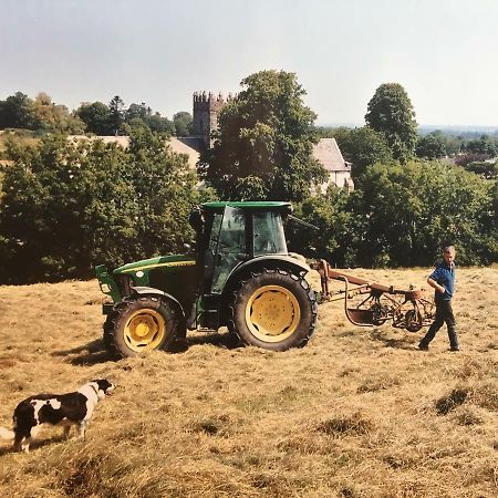 Carey'S Bar & Farmhouse Kilkenny Border Oldleighlin Exterior foto